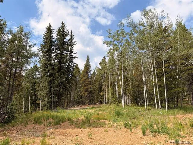 5940 Virginia Canyon Road Central City, CO 80427