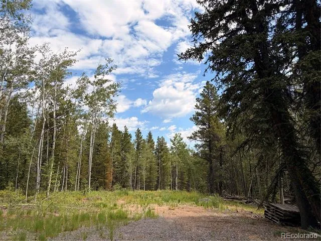 5940 Virginia Canyon Road Central City, CO 80427
