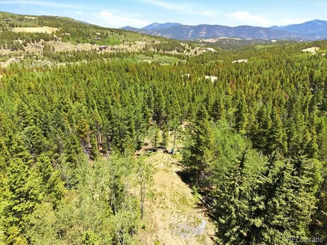 5940 Virginia Canyon Road Central City, CO 80427