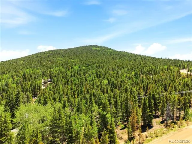 5940 Virginia Canyon Road Central City, CO 80427