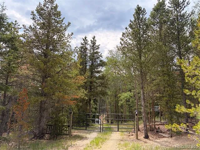 5940 Virginia Canyon Road Central City, CO 80427