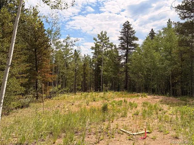 5940 Virginia Canyon Road Central City, CO 80427