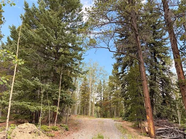 5940 Virginia Canyon Road Central City, CO 80427