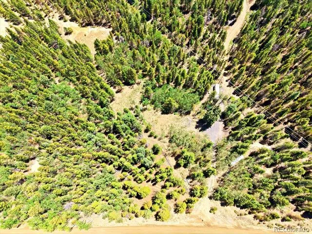 5940 Virginia Canyon Road Central City, CO 80427