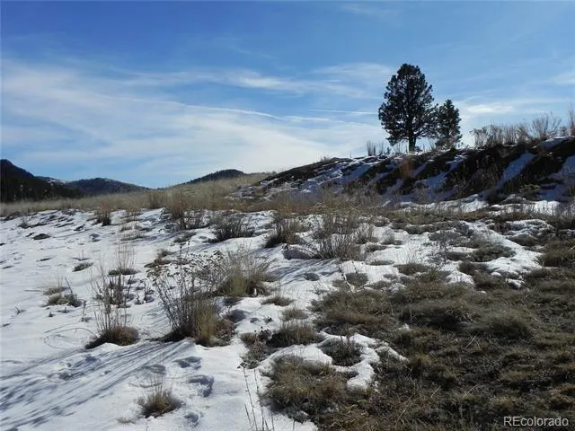 277 Gold King Drive Cripple Creek, CO 80813