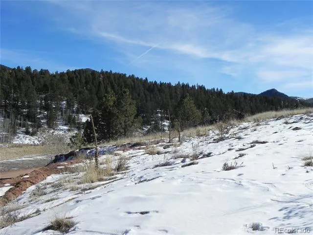 277 Gold King Drive Cripple Creek, CO 80813