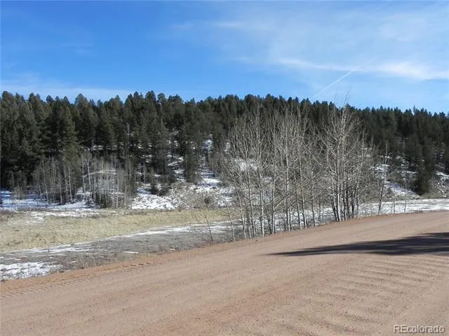 277 Gold King Drive Cripple Creek, CO 80813