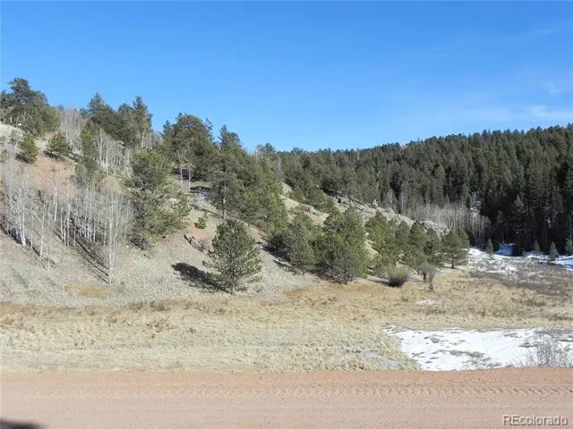 277 Gold King Drive Cripple Creek, CO 80813