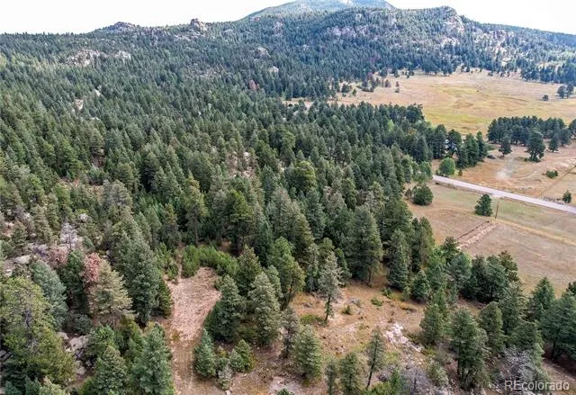 9335 Eagle Cliff Road Conifer, CO 80433