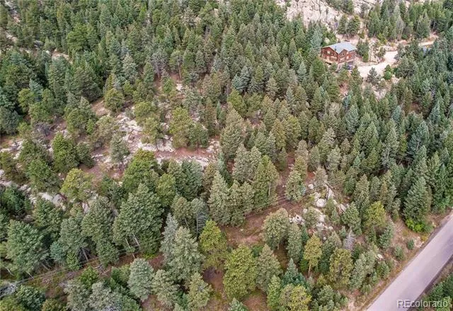 9335 Eagle Cliff Road Conifer, CO 80433