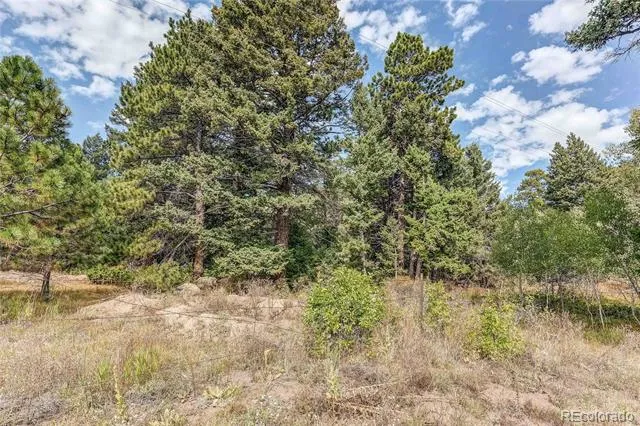 9335 Eagle Cliff Road Conifer, CO 80433