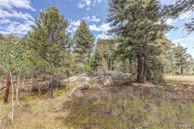 9335 Eagle Cliff Road Conifer, CO 80433