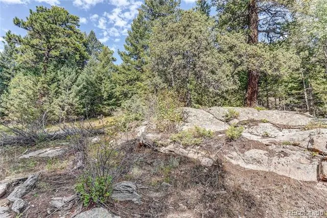 9335 Eagle Cliff Road Conifer, CO 80433