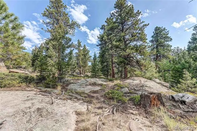 9335 Eagle Cliff Road Conifer, CO 80433