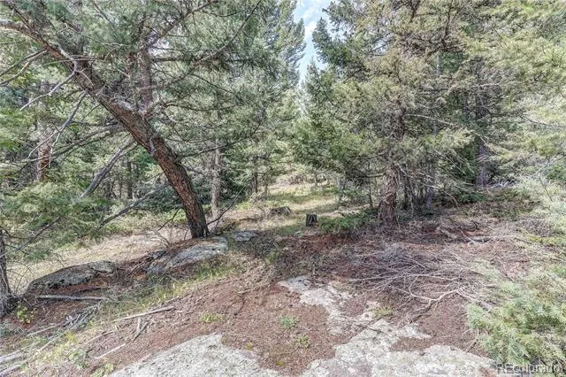 9335 Eagle Cliff Road Conifer, CO 80433