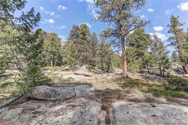 9335 Eagle Cliff Road Conifer, CO 80433