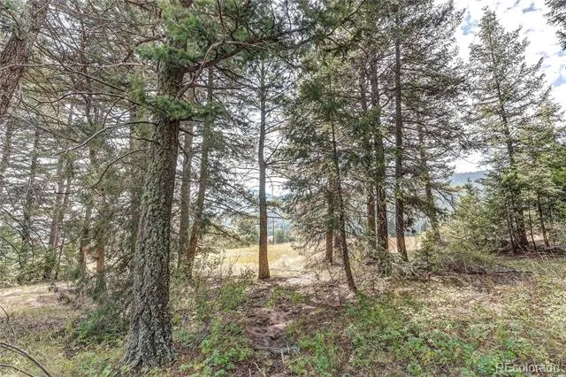 9335 Eagle Cliff Road Conifer, CO 80433
