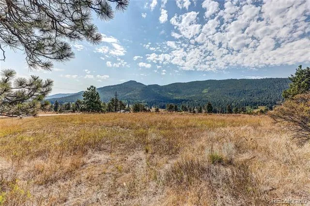 9335 Eagle Cliff Road Conifer, CO 80433