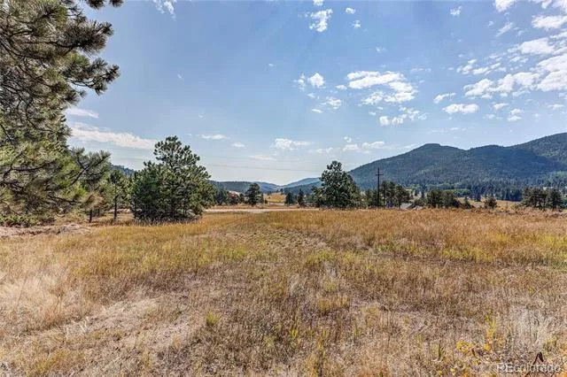 9335 Eagle Cliff Road Conifer, CO 80433