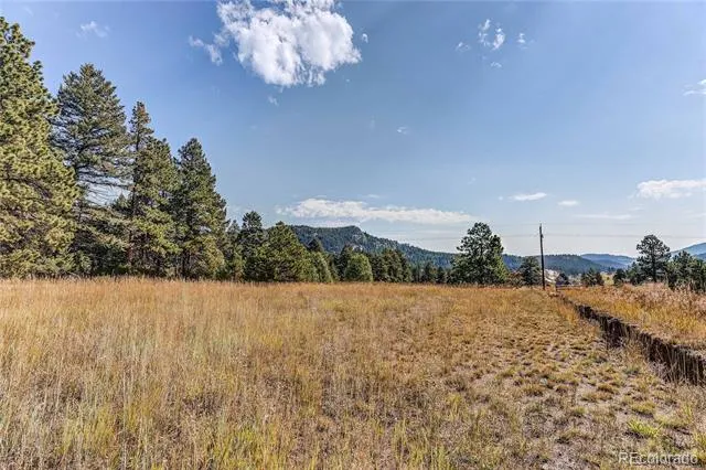 9335 Eagle Cliff Road Conifer, CO 80433