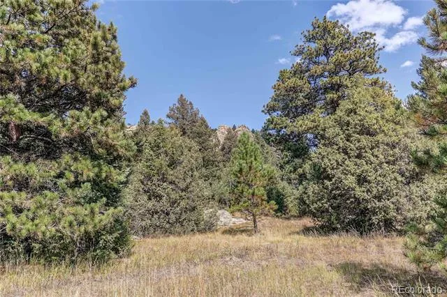 9335 Eagle Cliff Road Conifer, CO 80433