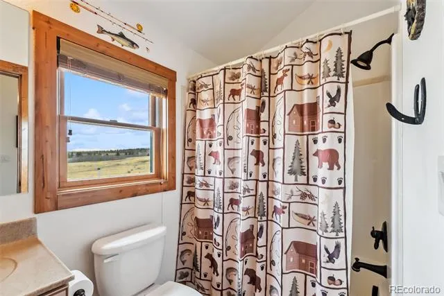 268 Fuller Drive #B Fairplay, CO 80440