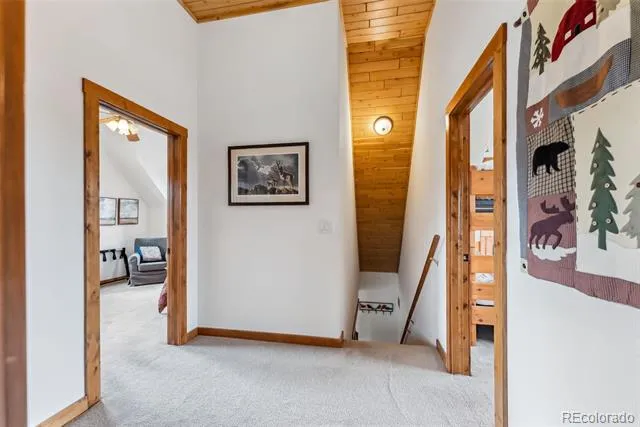 268 Fuller Drive #B Fairplay, CO 80440