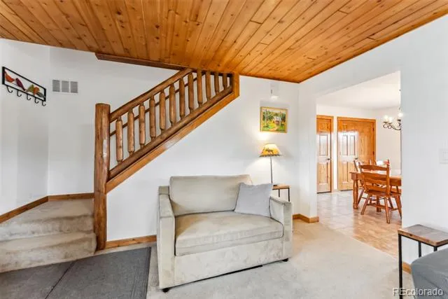 268 Fuller Drive #B Fairplay, CO 80440
