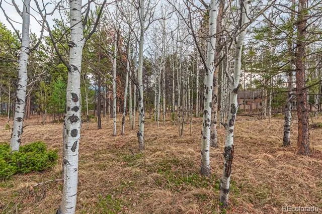 1290 Firestone Drive Woodland Park, CO 80863