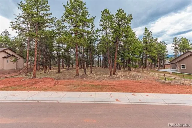 1290 Firestone Drive Woodland Park, CO 80863