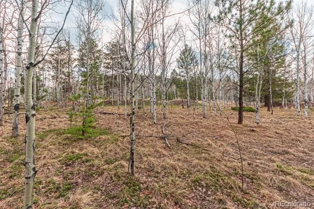 1290 Firestone Drive Woodland Park, CO 80863