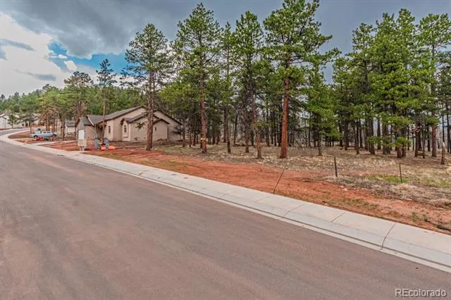 1290 Firestone Drive Woodland Park, CO 80863