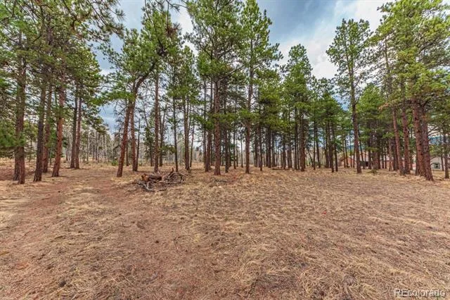 1290 Firestone Drive Woodland Park, CO 80863