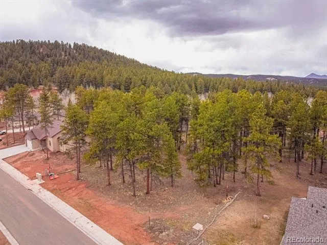 1290 Firestone Drive Woodland Park, CO 80863