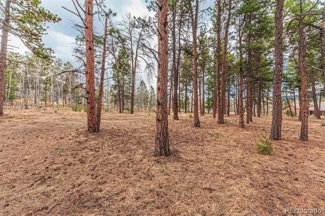 1290 Firestone Drive Woodland Park, CO 80863