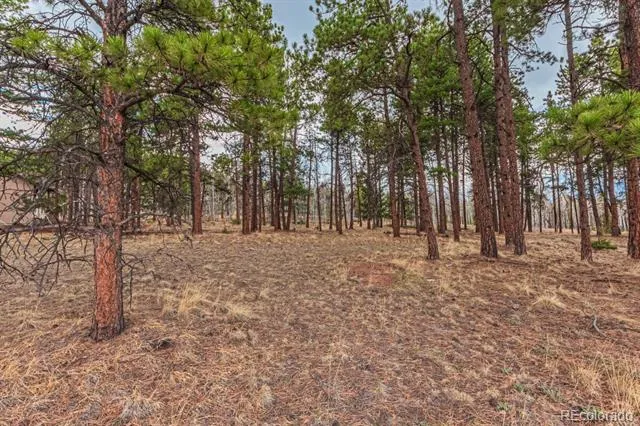 1290 Firestone Drive Woodland Park, CO 80863