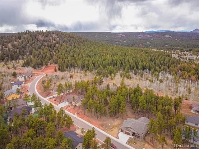 1290 Firestone Drive Woodland Park, CO 80863