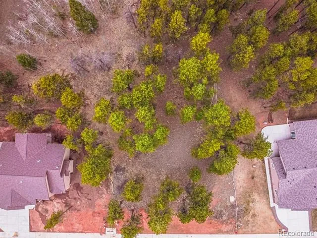 1290 Firestone Drive Woodland Park, CO 80863