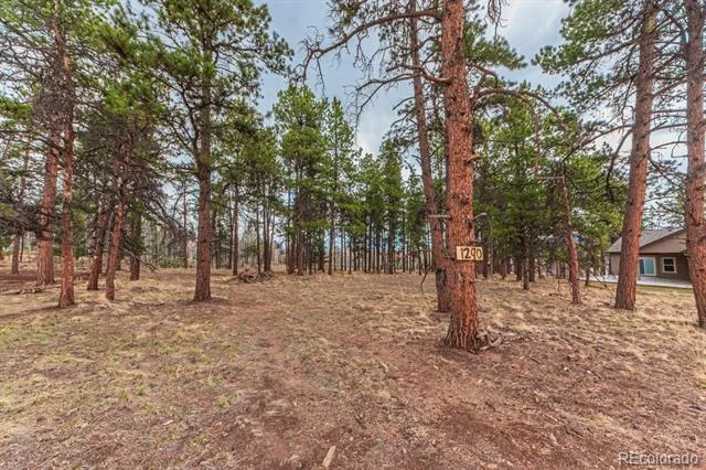 1290 Firestone Drive Woodland Park, CO 80863