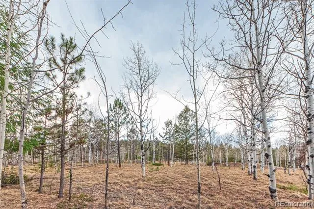 1290 Firestone Drive Woodland Park, CO 80863