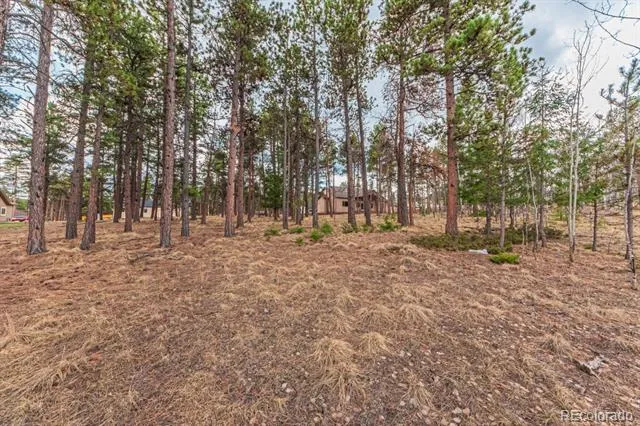 1290 Firestone Drive Woodland Park, CO 80863