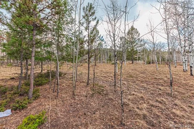1290 Firestone Drive Woodland Park, CO 80863