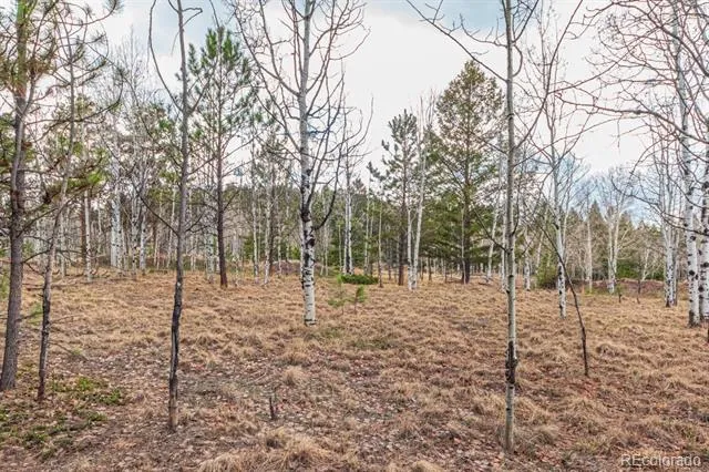 1290 Firestone Drive Woodland Park, CO 80863