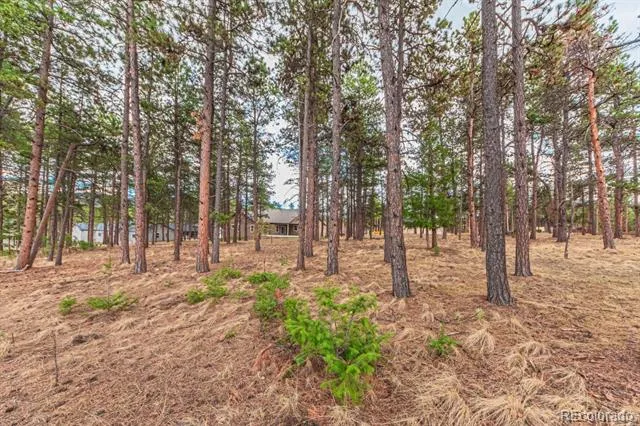 1290 Firestone Drive Woodland Park, CO 80863
