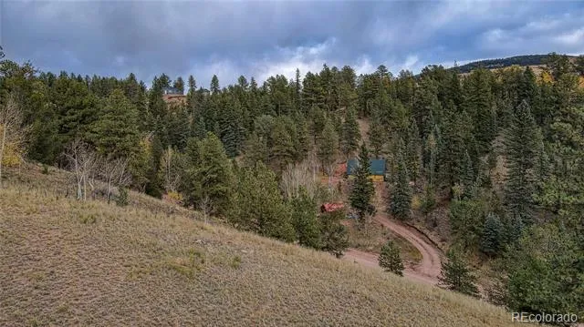 65 Portland Drive Cripple Creek, CO 80813