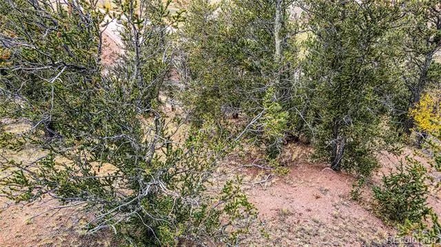 65 Portland Drive Cripple Creek, CO 80813