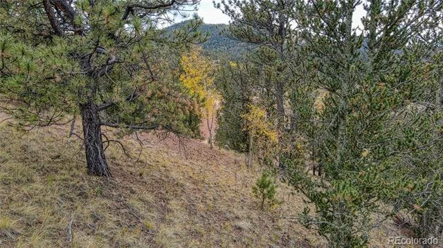 65 Portland Drive Cripple Creek, CO 80813
