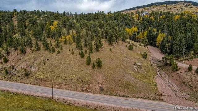 65 Portland Drive Cripple Creek, CO 80813