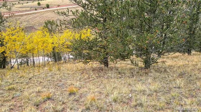 65 Portland Drive Cripple Creek, CO 80813