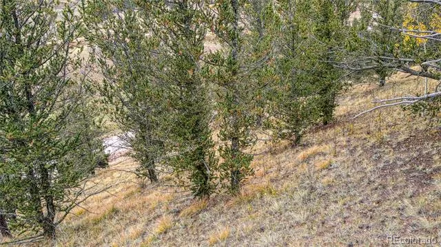 65 Portland Drive Cripple Creek, CO 80813